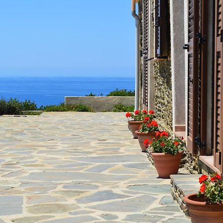 Agriturismo Finagliosu Palmadula Luaran gambar