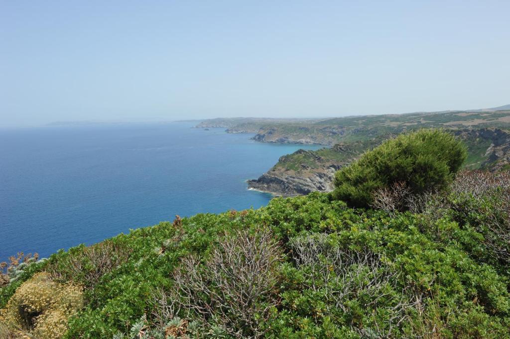 Agriturismo Finagliosu Palmadula Luaran gambar