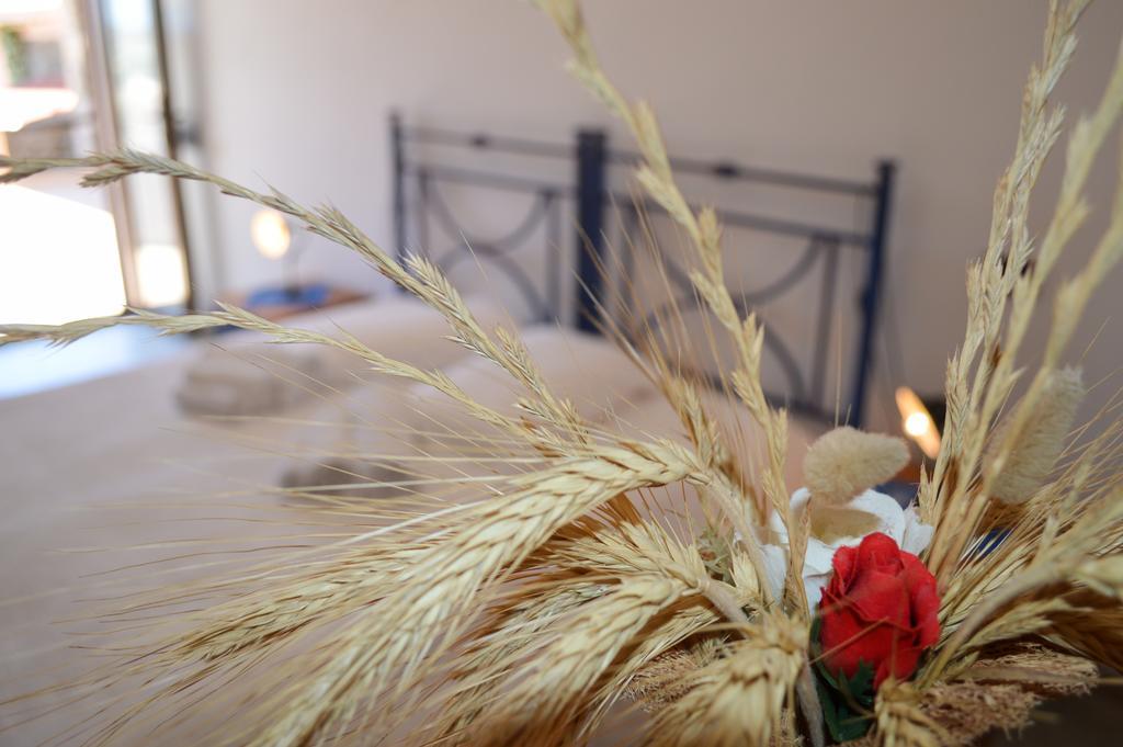 Agriturismo Finagliosu Palmadula Bilik gambar